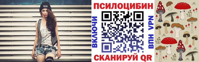 Галлюциногенные грибы Psilocybine cubensis Воронеж
