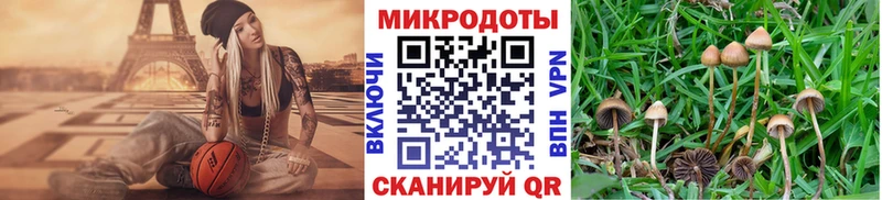 Галлюциногенные грибы мухоморы  Воронеж 